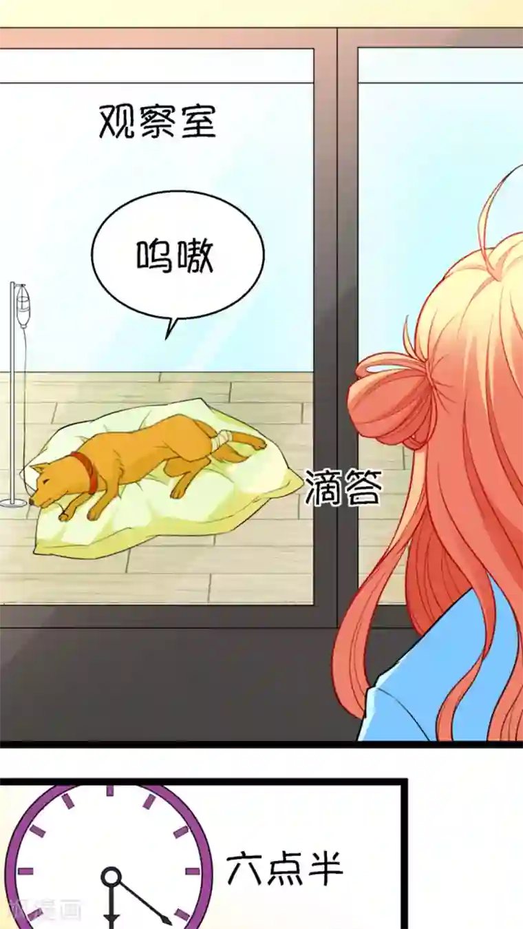 铲屎官也要谈恋爱第14话