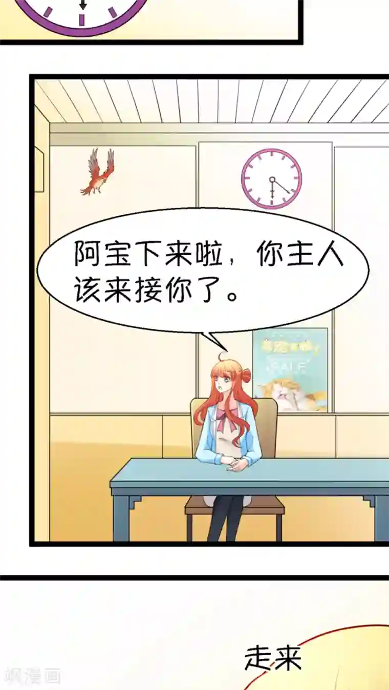 铲屎官也要谈恋爱第14话