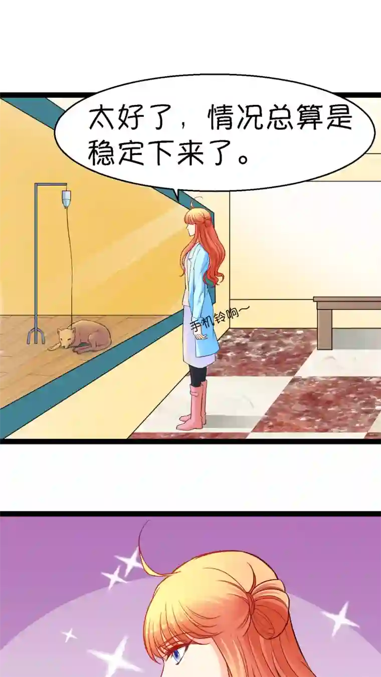 铲屎官也要谈恋爱第15话