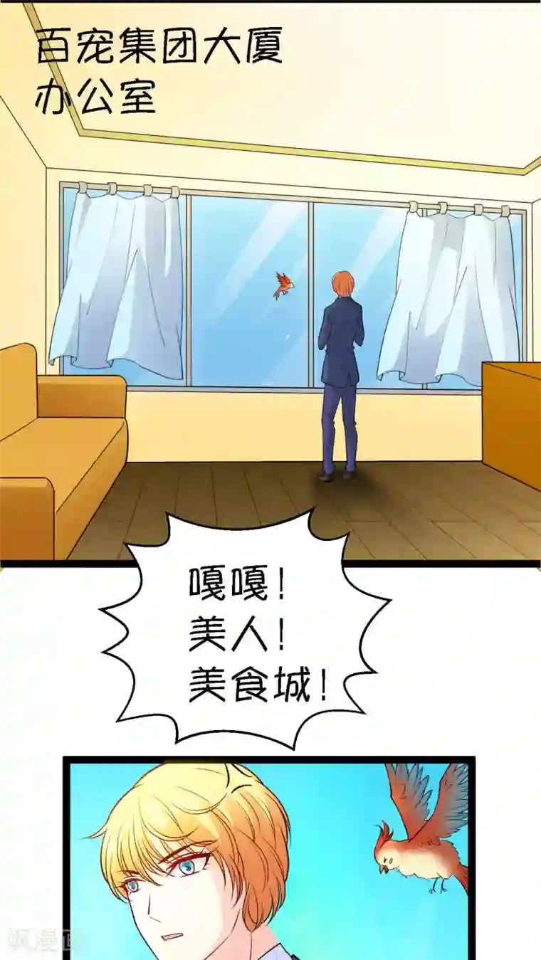 铲屎官也要谈恋爱第15话