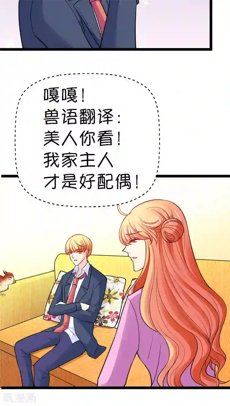 铲屎官也要谈恋爱第16话