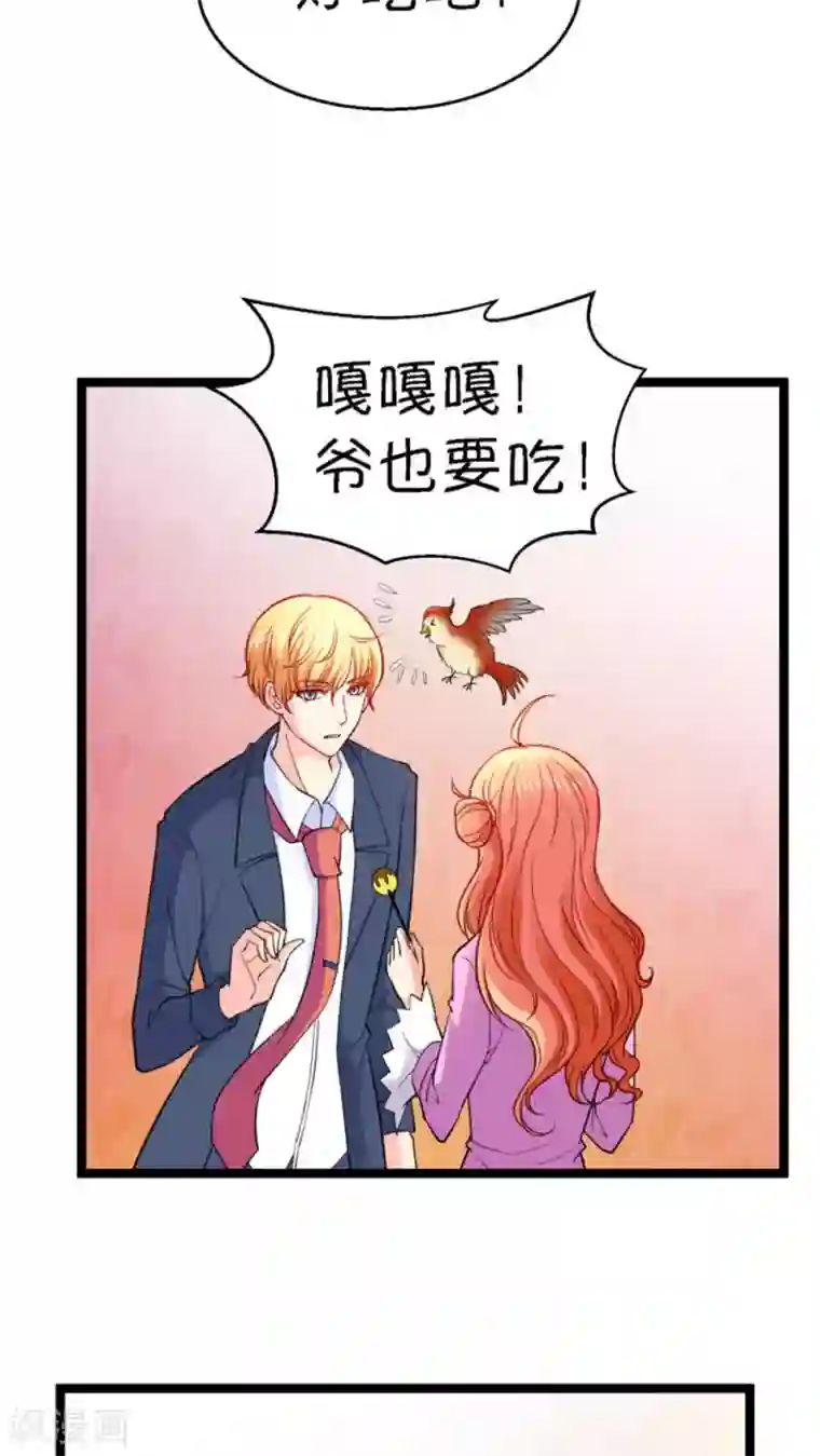 铲屎官也要谈恋爱第17话