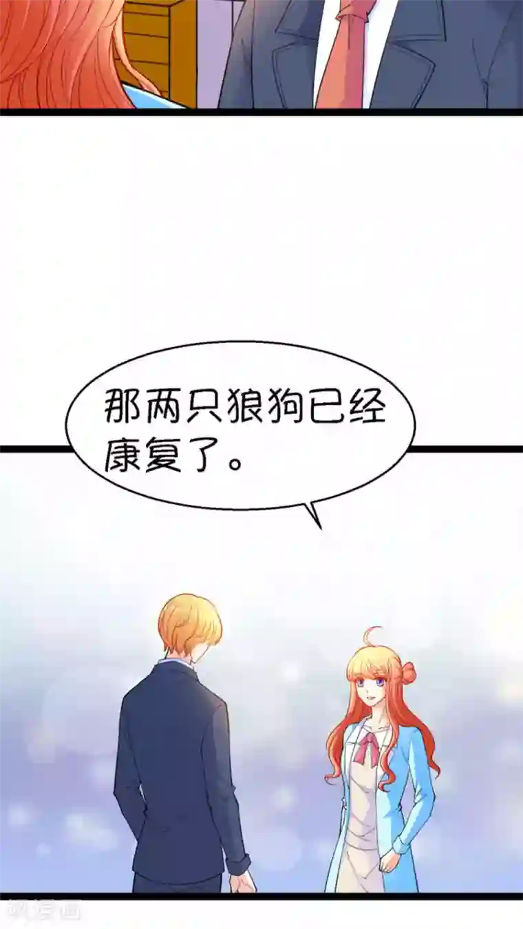 铲屎官也要谈恋爱第19话