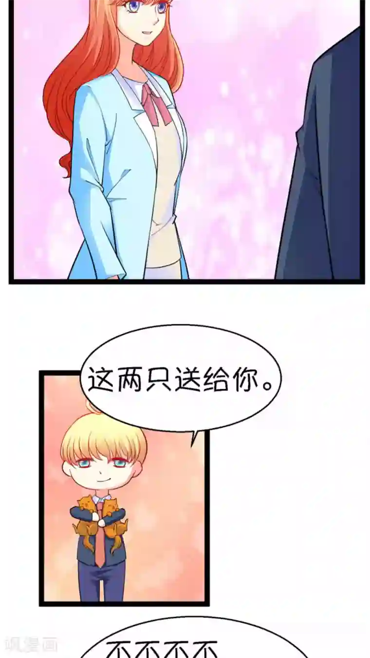 铲屎官也要谈恋爱第19话