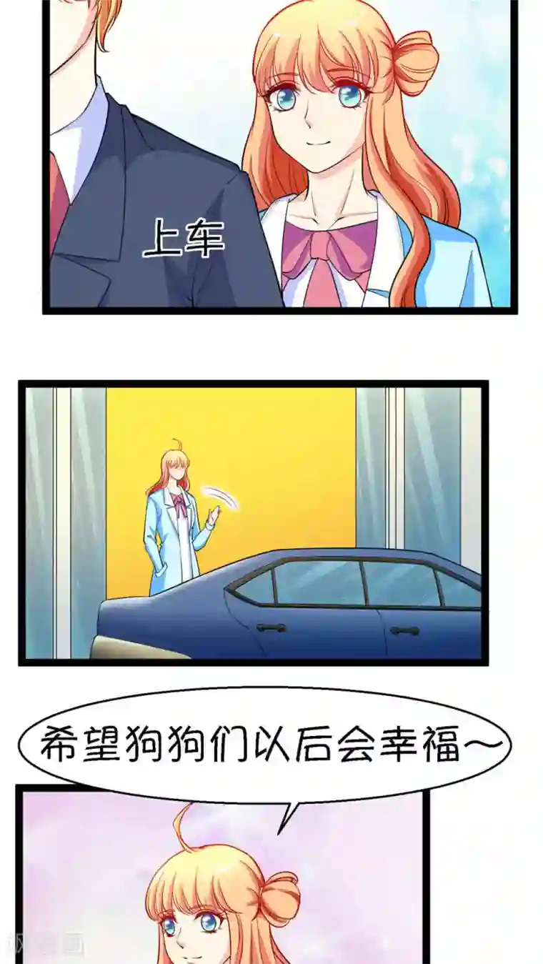 铲屎官也要谈恋爱第20话