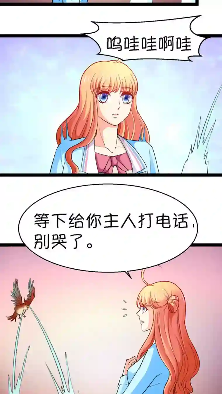 铲屎官也要谈恋爱第20话