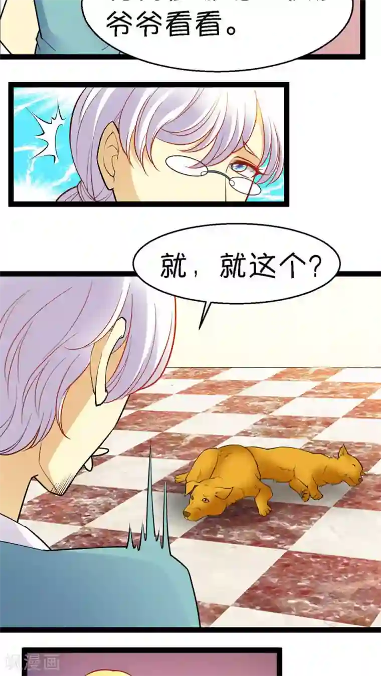 铲屎官也要谈恋爱第20话