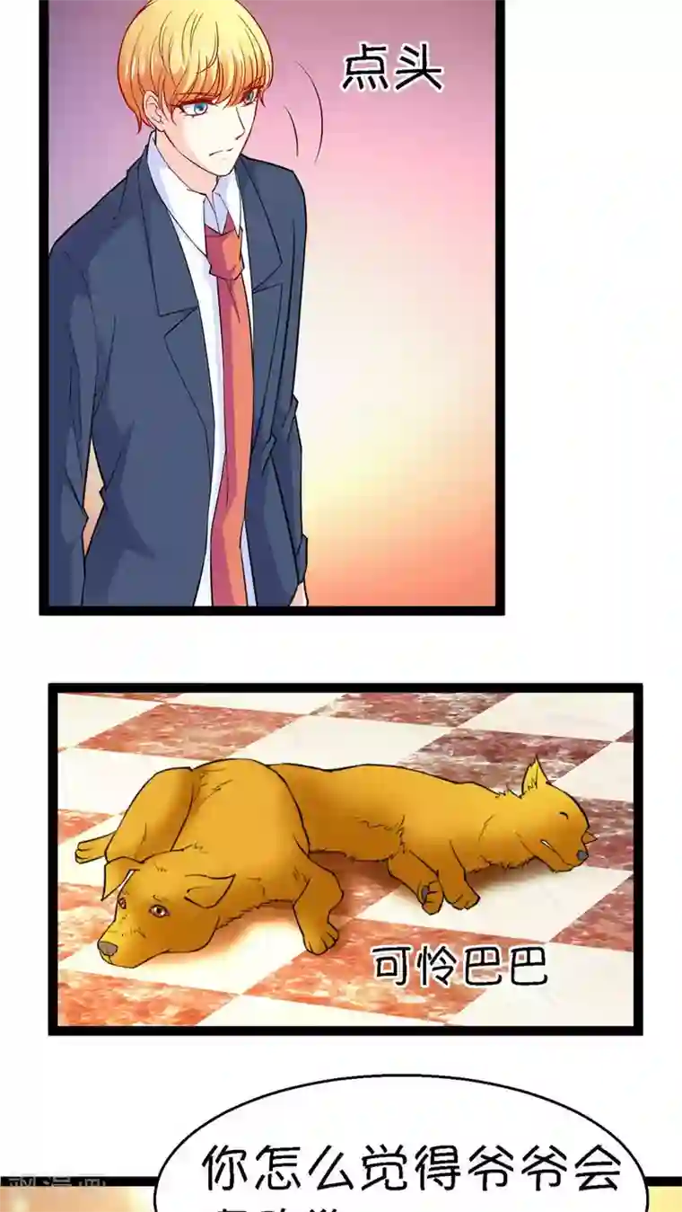 铲屎官也要谈恋爱第20话