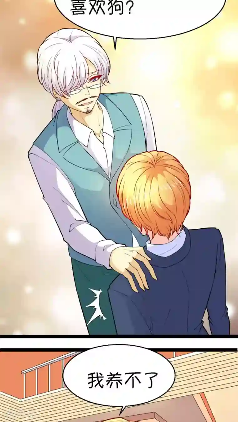 铲屎官也要谈恋爱第20话