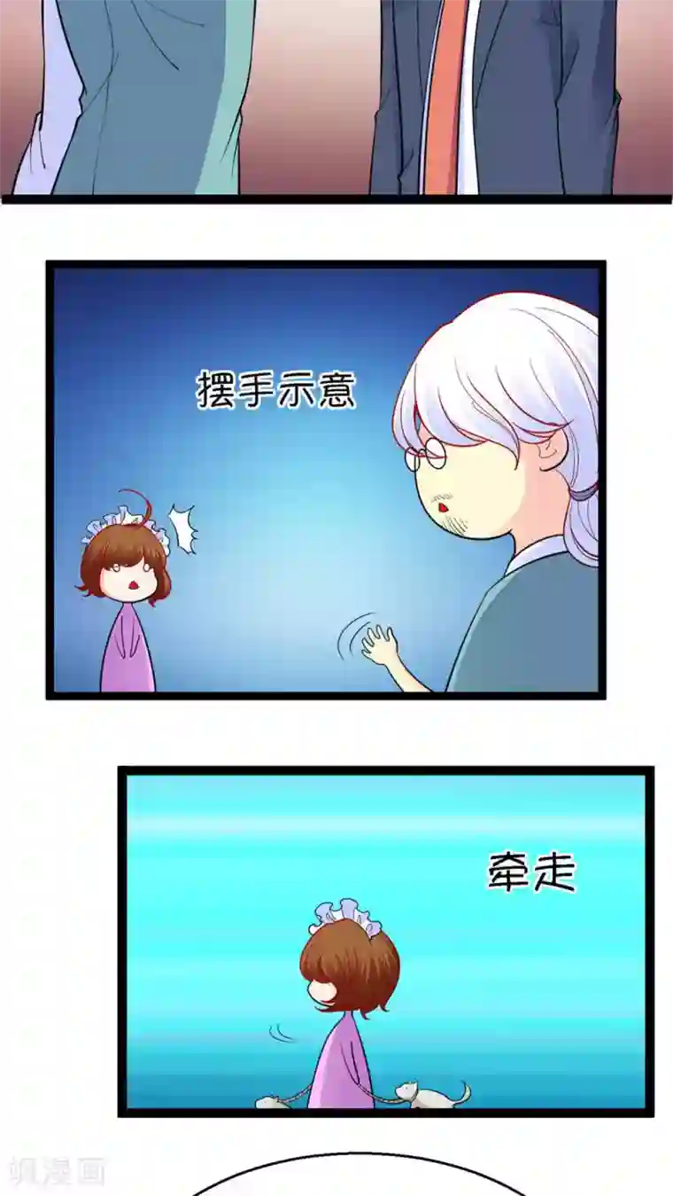 铲屎官也要谈恋爱第20话