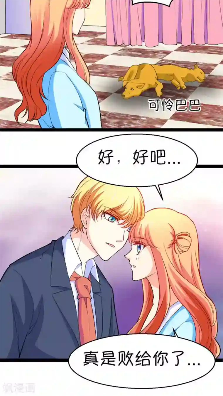 铲屎官也要谈恋爱第20话