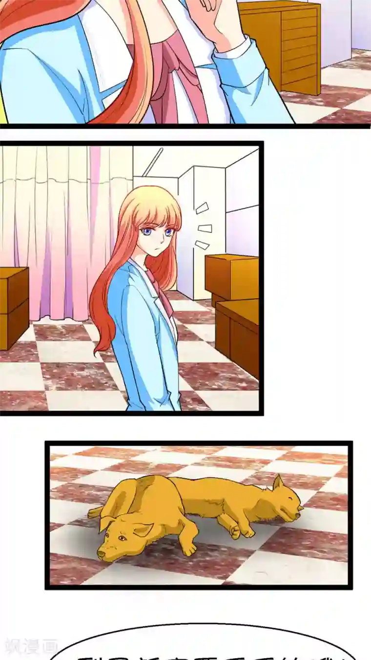 铲屎官也要谈恋爱第20话