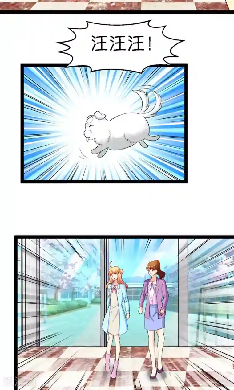 铲屎官也要谈恋爱第21话