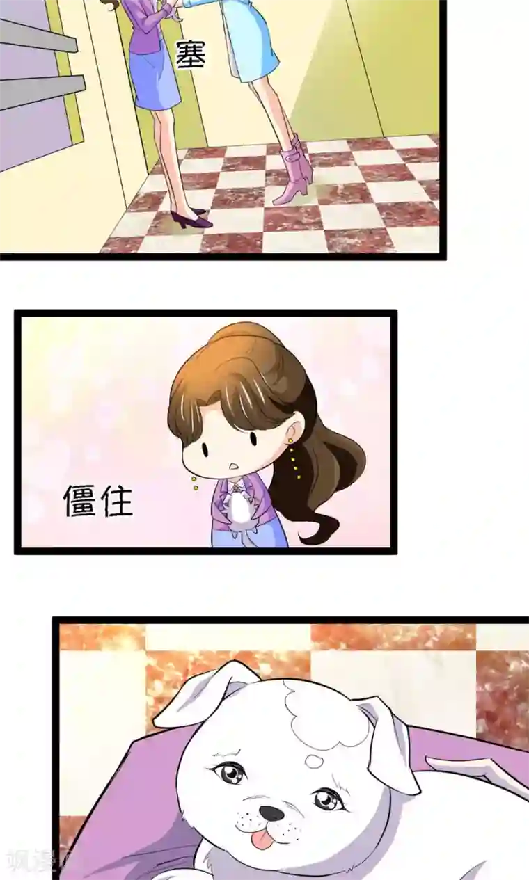 铲屎官也要谈恋爱第21话