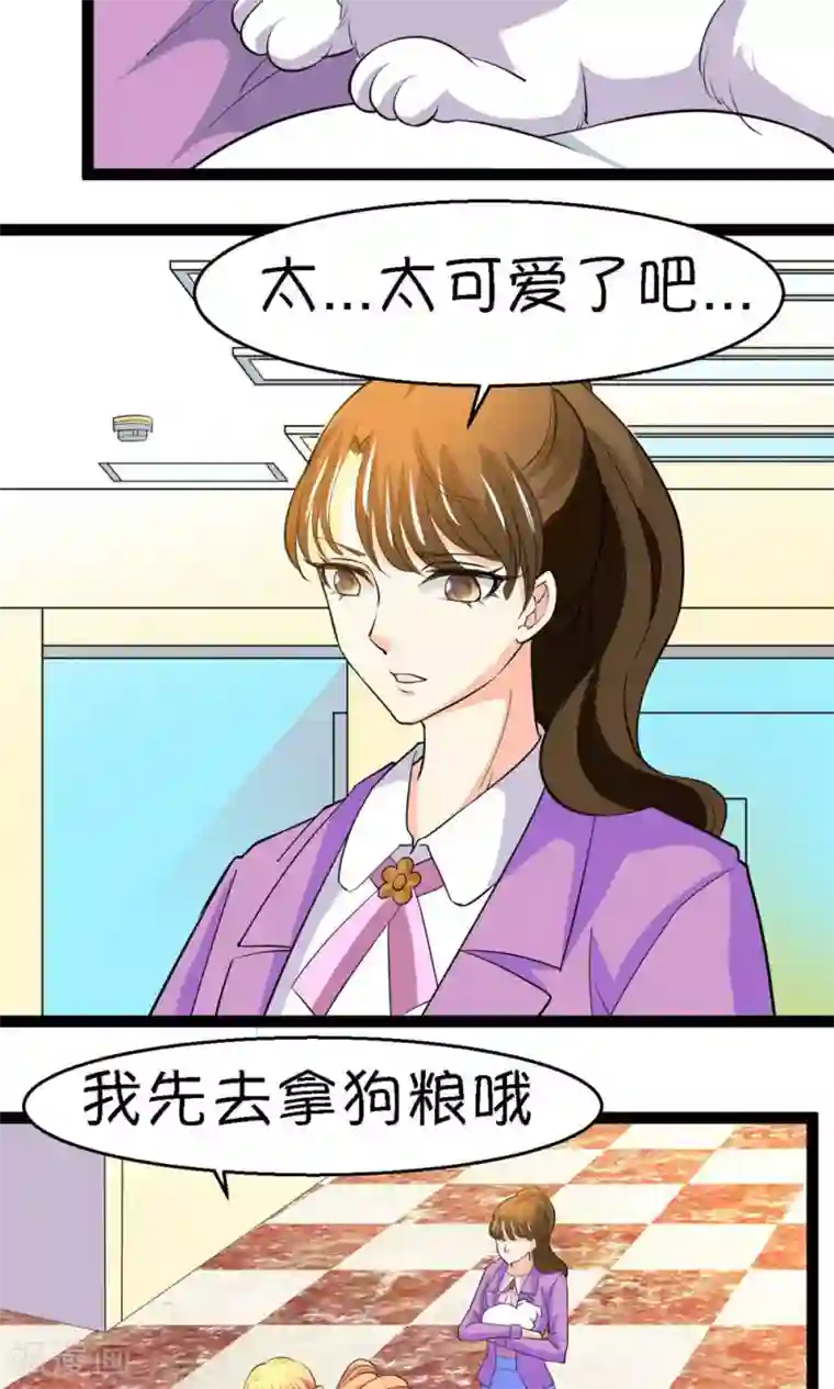 铲屎官也要谈恋爱第21话