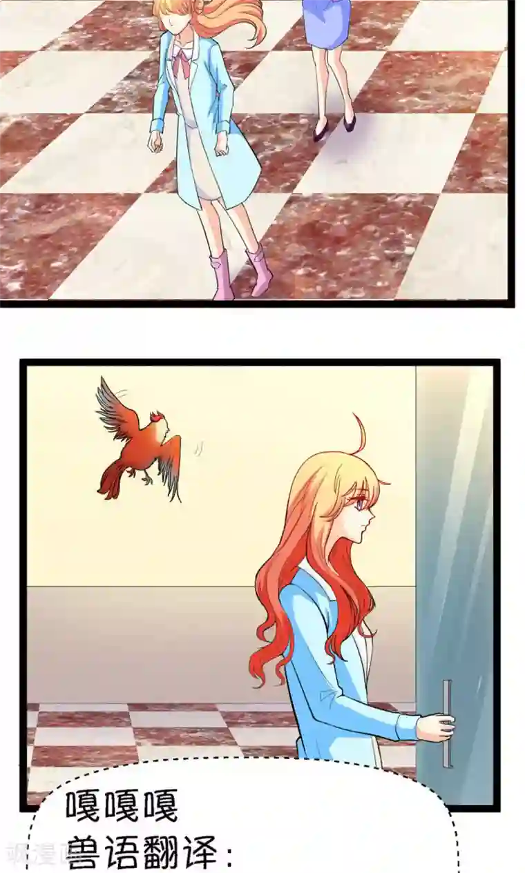 铲屎官也要谈恋爱第21话