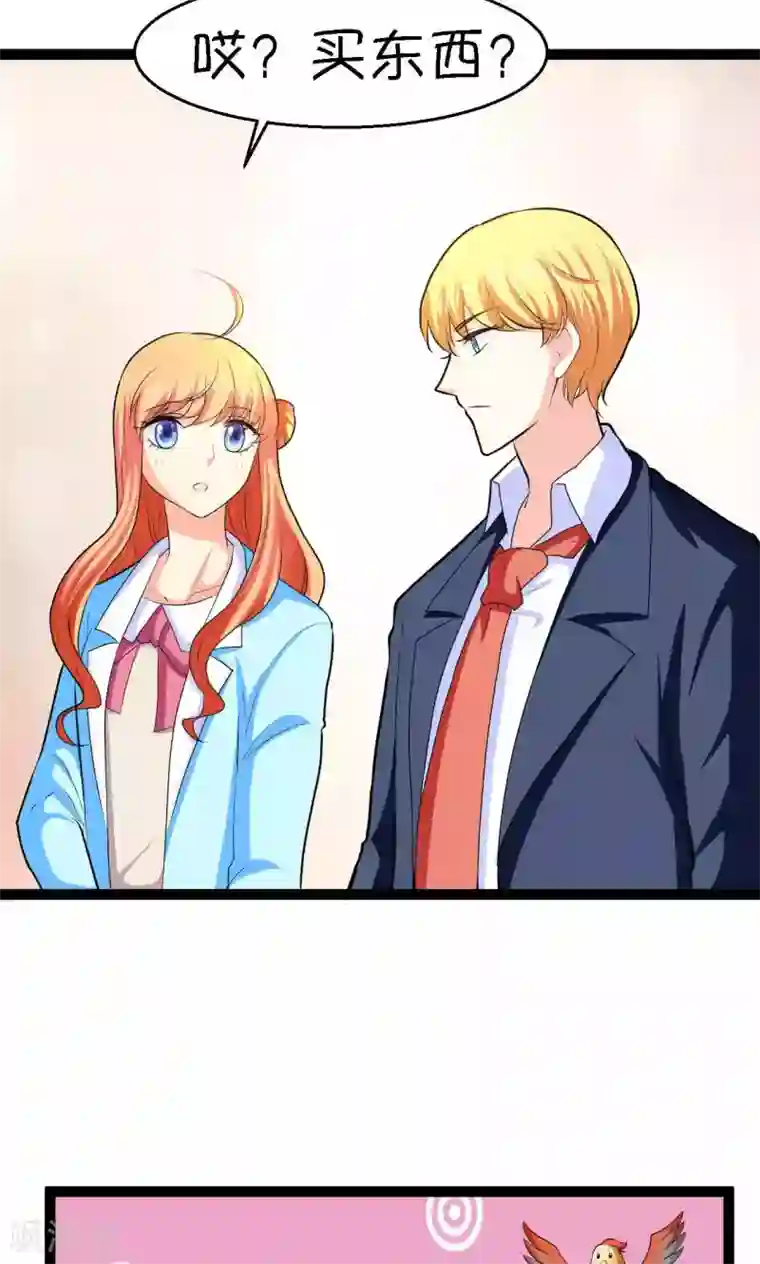 铲屎官也要谈恋爱第24话