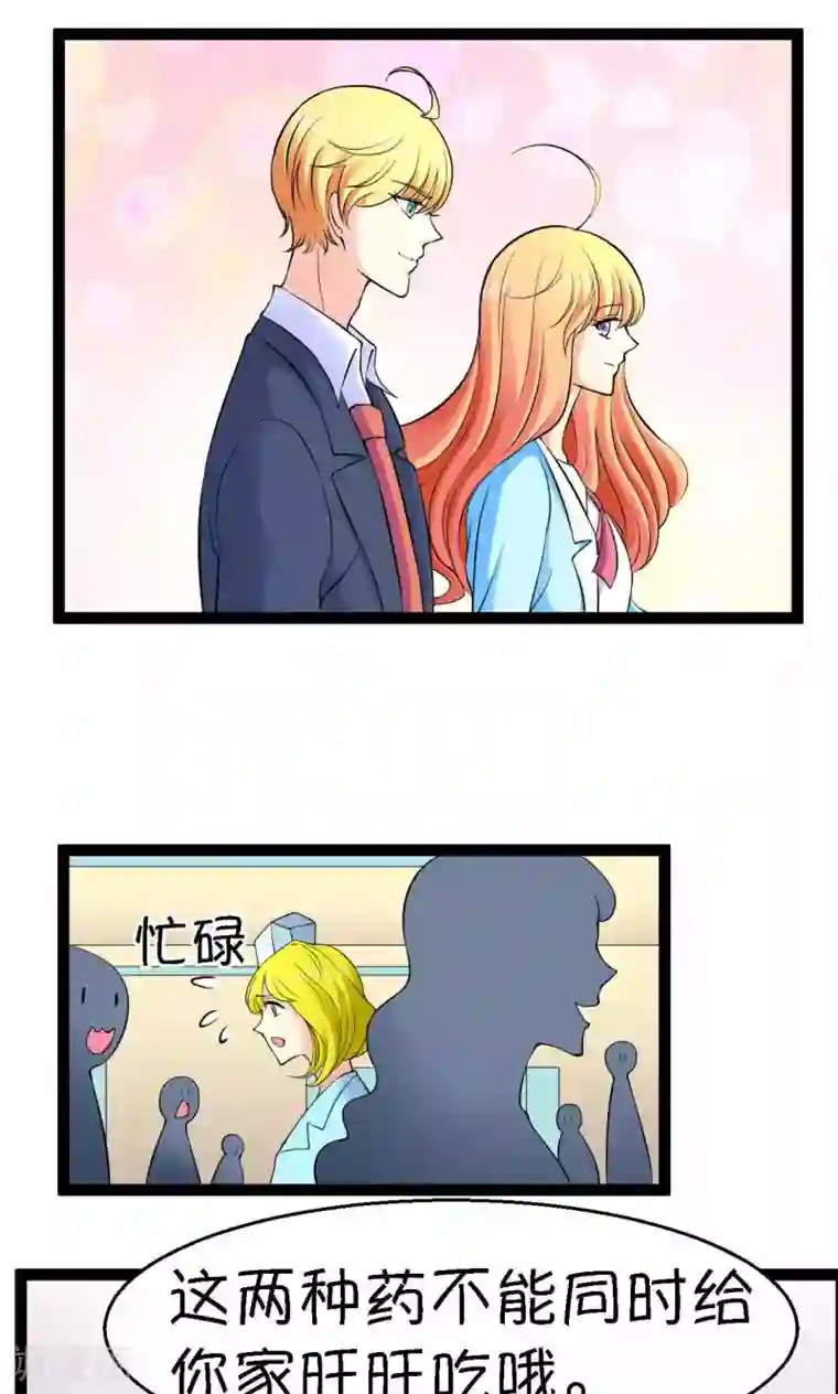 铲屎官也要谈恋爱第24话