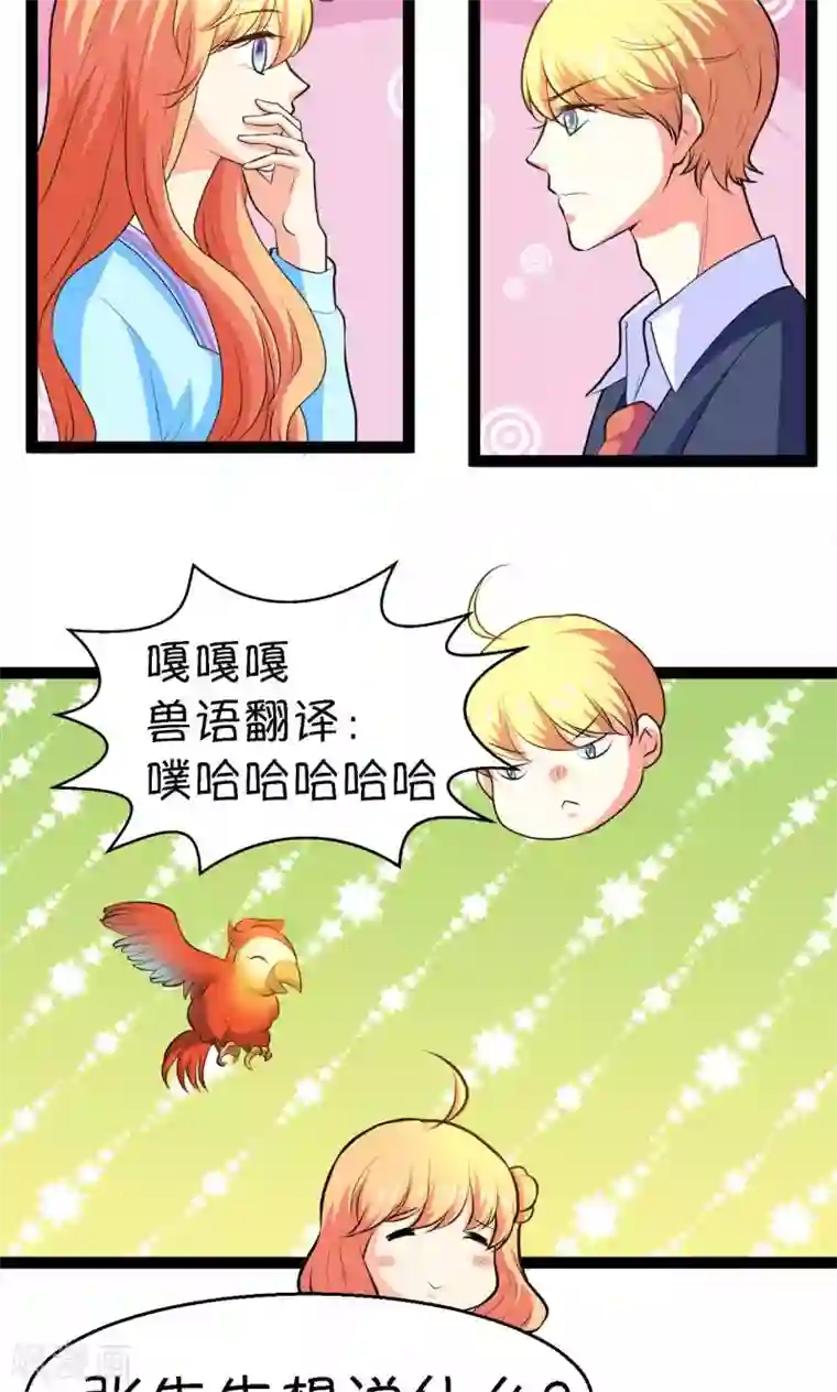 铲屎官也要谈恋爱第24话