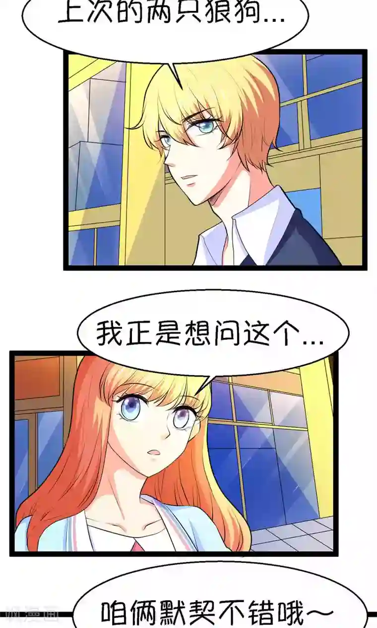 铲屎官也要谈恋爱第24话