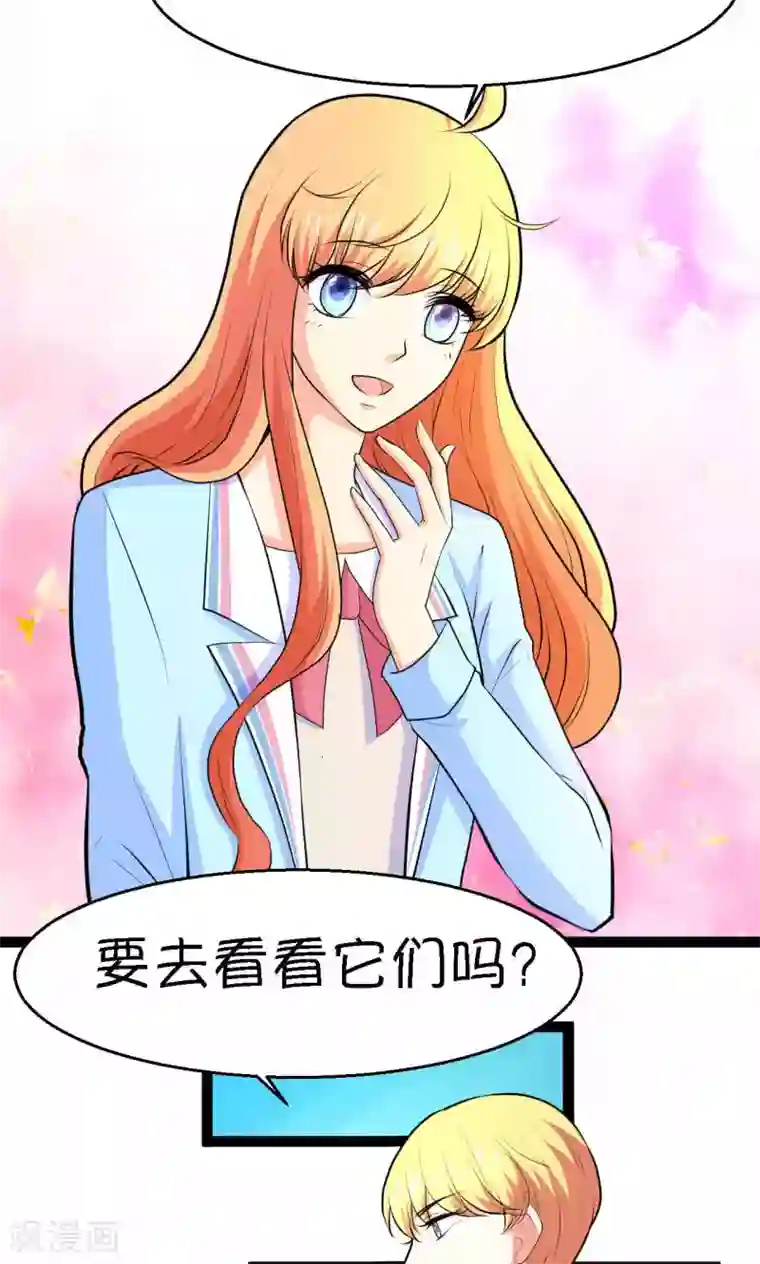 铲屎官也要谈恋爱第24话