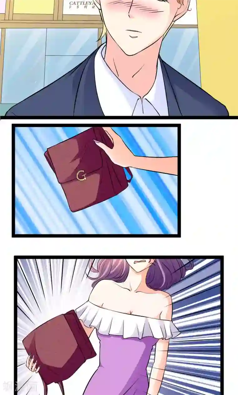 铲屎官也要谈恋爱第25话