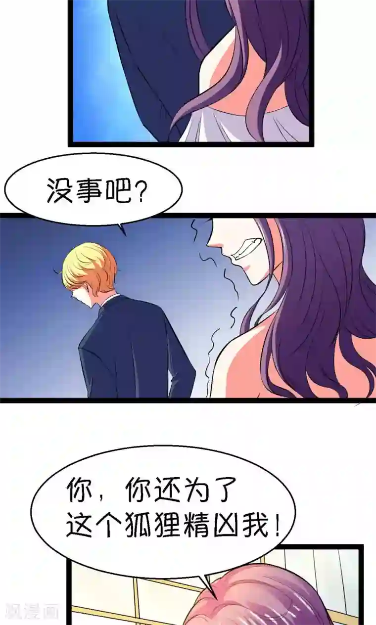 铲屎官也要谈恋爱第25话