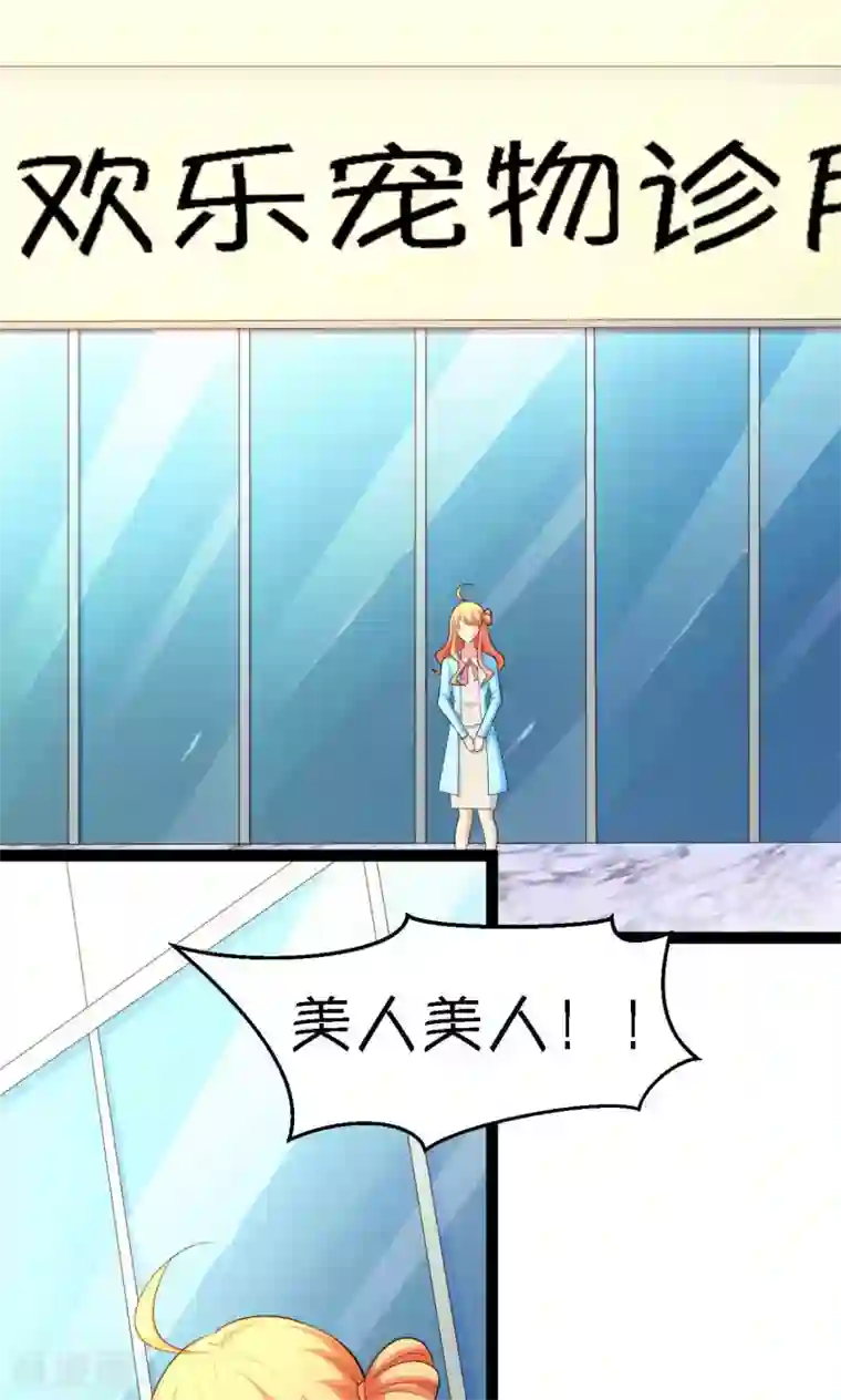 铲屎官也要谈恋爱第27话