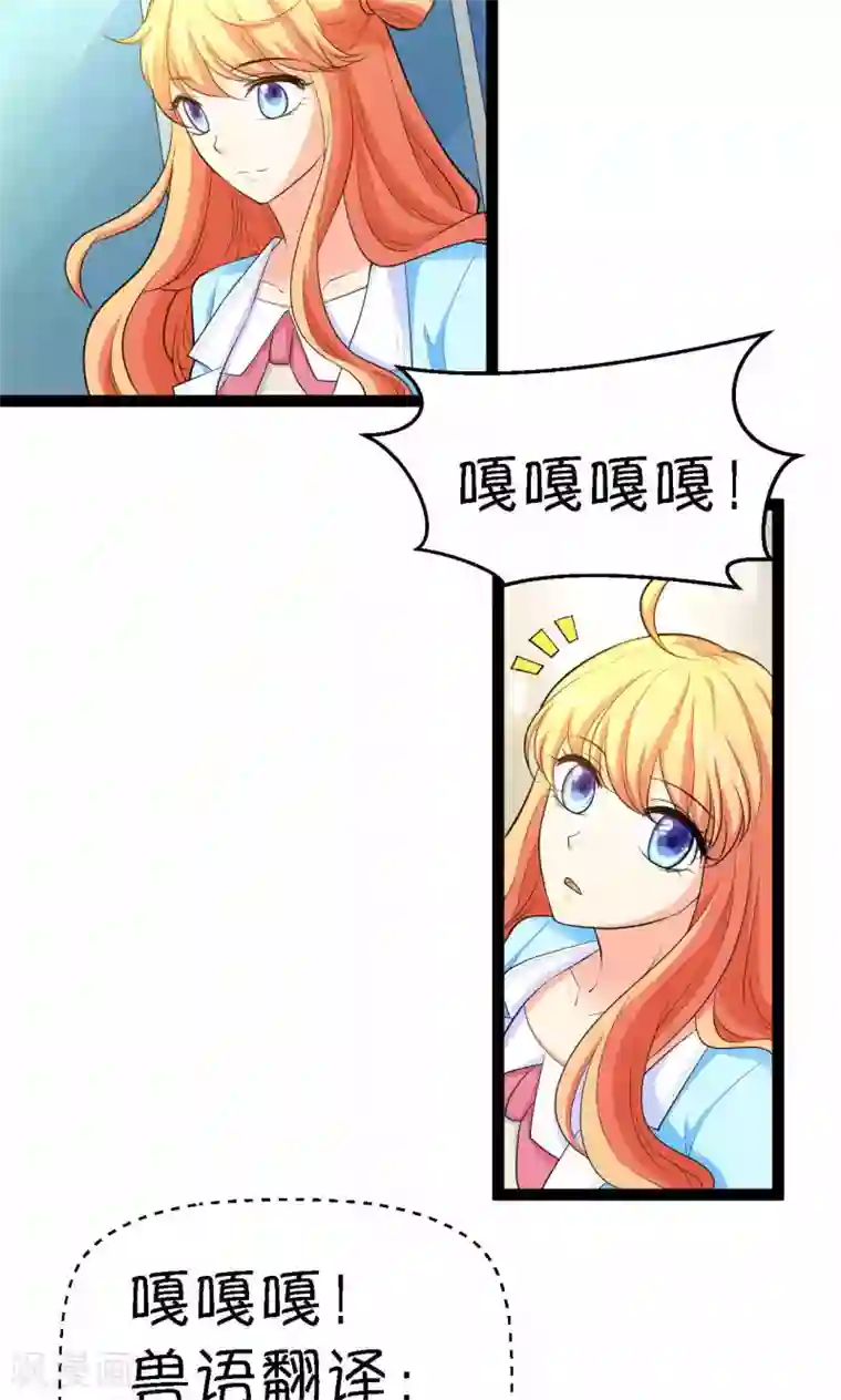 铲屎官也要谈恋爱第27话