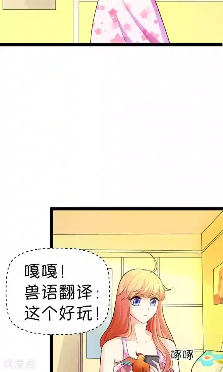 铲屎官也要谈恋爱第27话