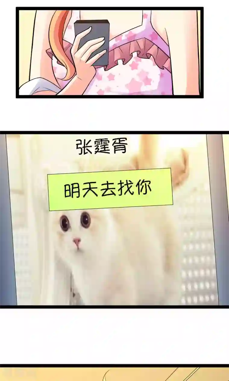 铲屎官也要谈恋爱第27话