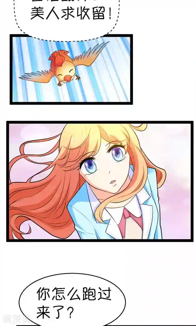 铲屎官也要谈恋爱第27话