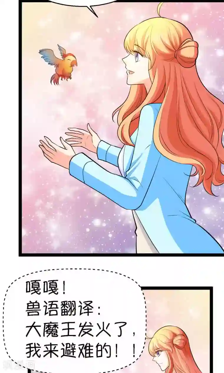 铲屎官也要谈恋爱第27话