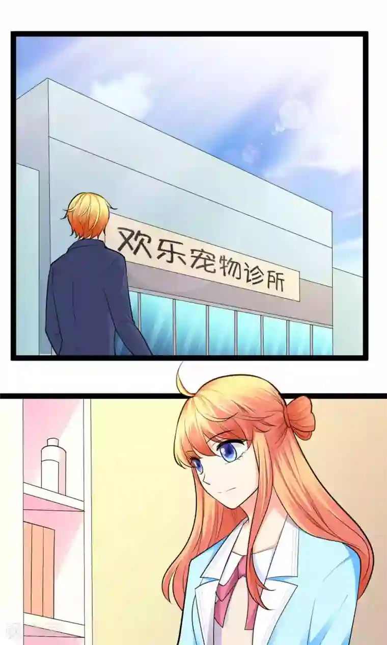 铲屎官也要谈恋爱第28话