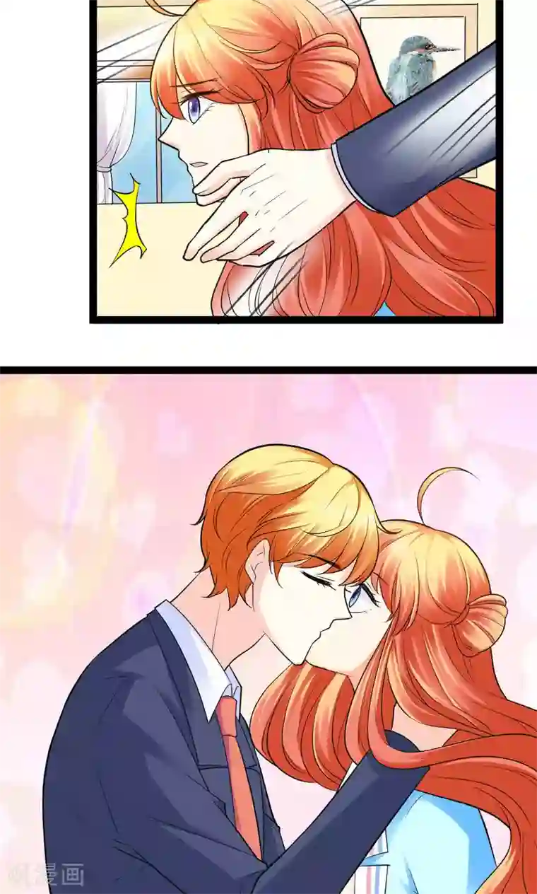 铲屎官也要谈恋爱第28话