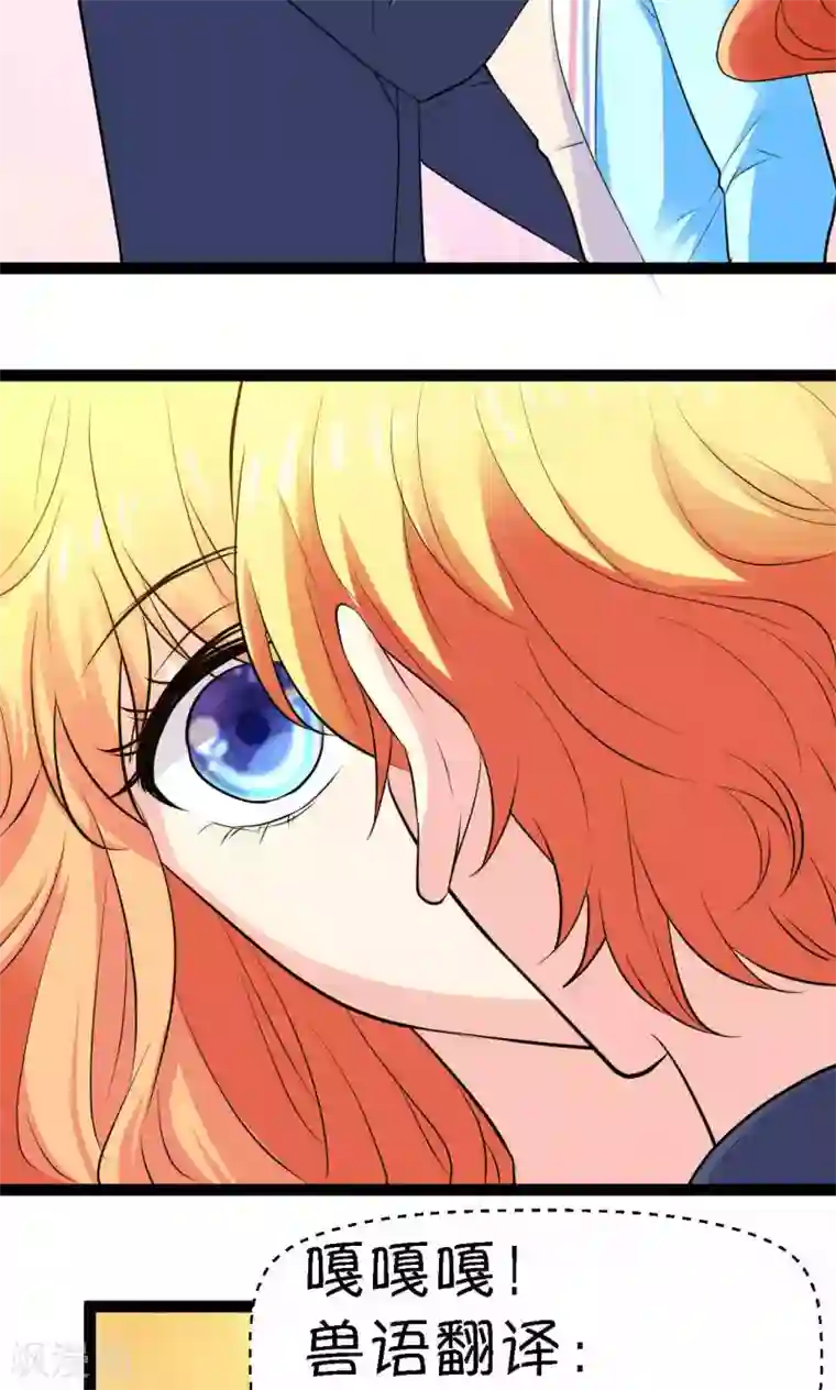 铲屎官也要谈恋爱第28话