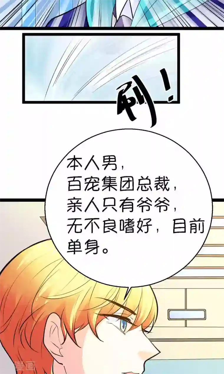 铲屎官也要谈恋爱第28话