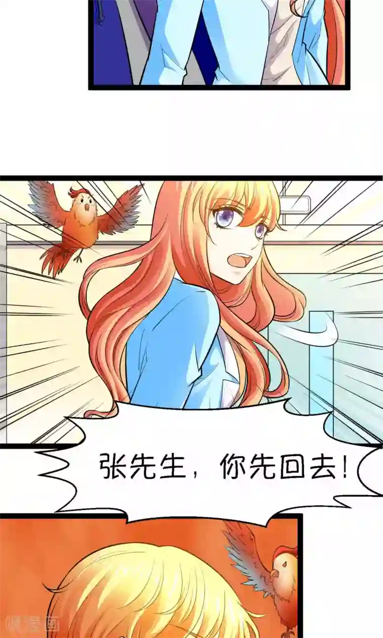 铲屎官也要谈恋爱第28话