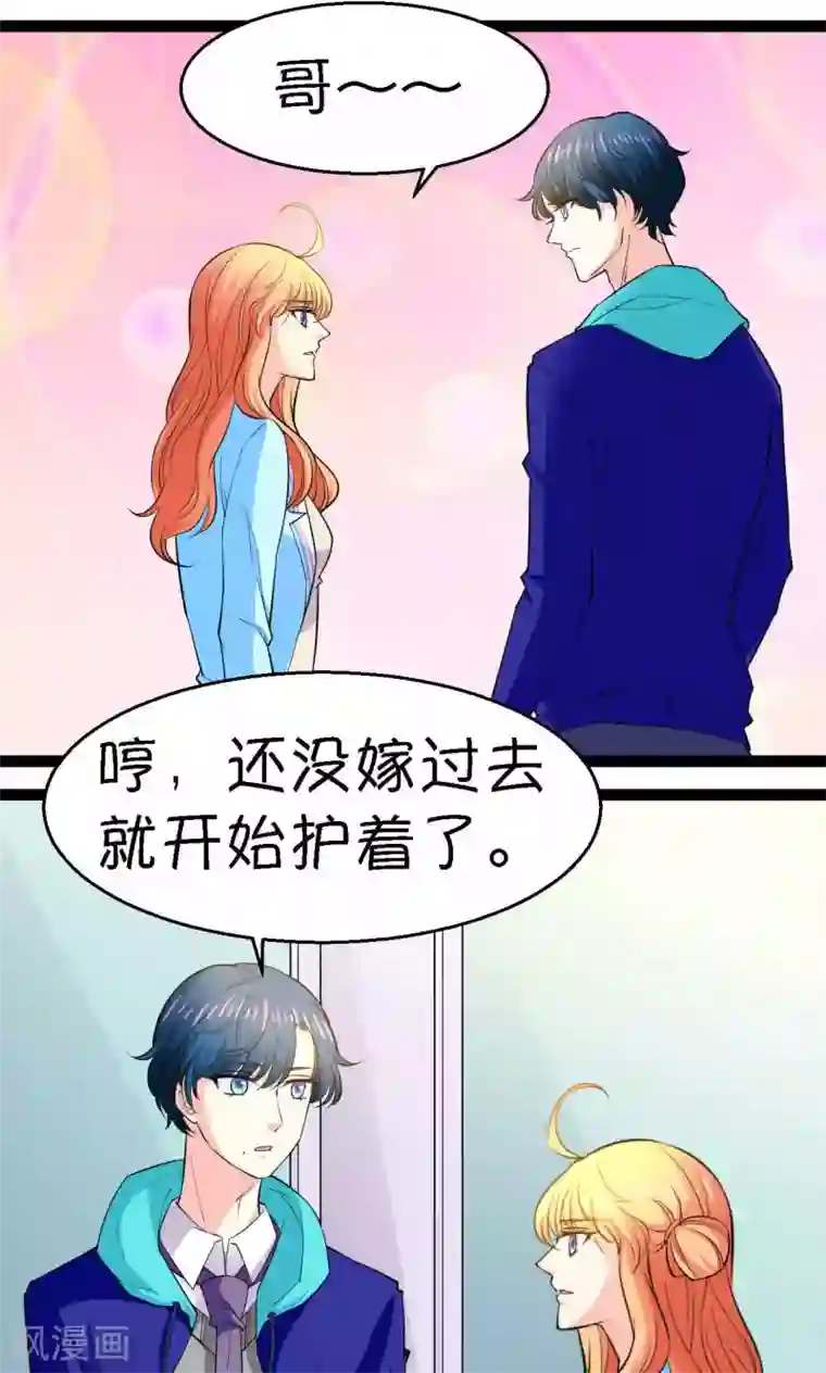 铲屎官也要谈恋爱第28话