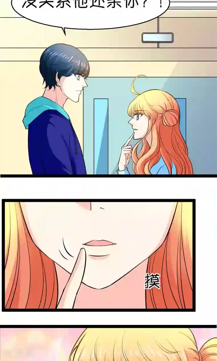 铲屎官也要谈恋爱第28话