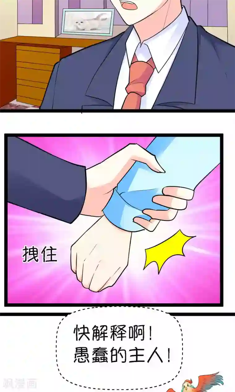 铲屎官也要谈恋爱第28话