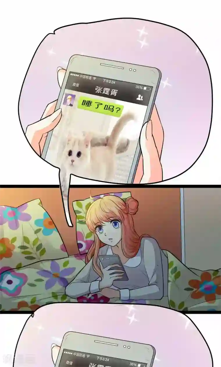 铲屎官也要谈恋爱第29话