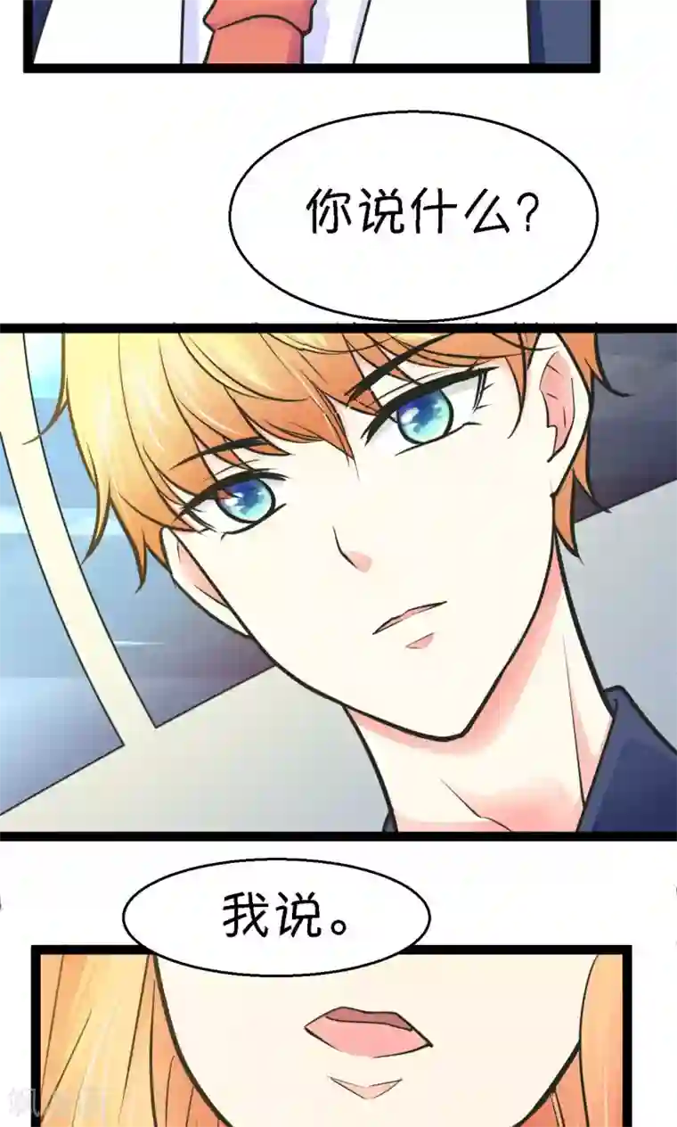 铲屎官也要谈恋爱第30话