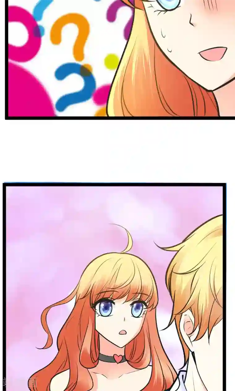 铲屎官也要谈恋爱第30话