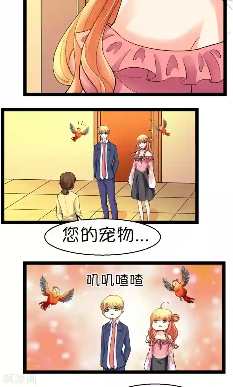 铲屎官也要谈恋爱第31话