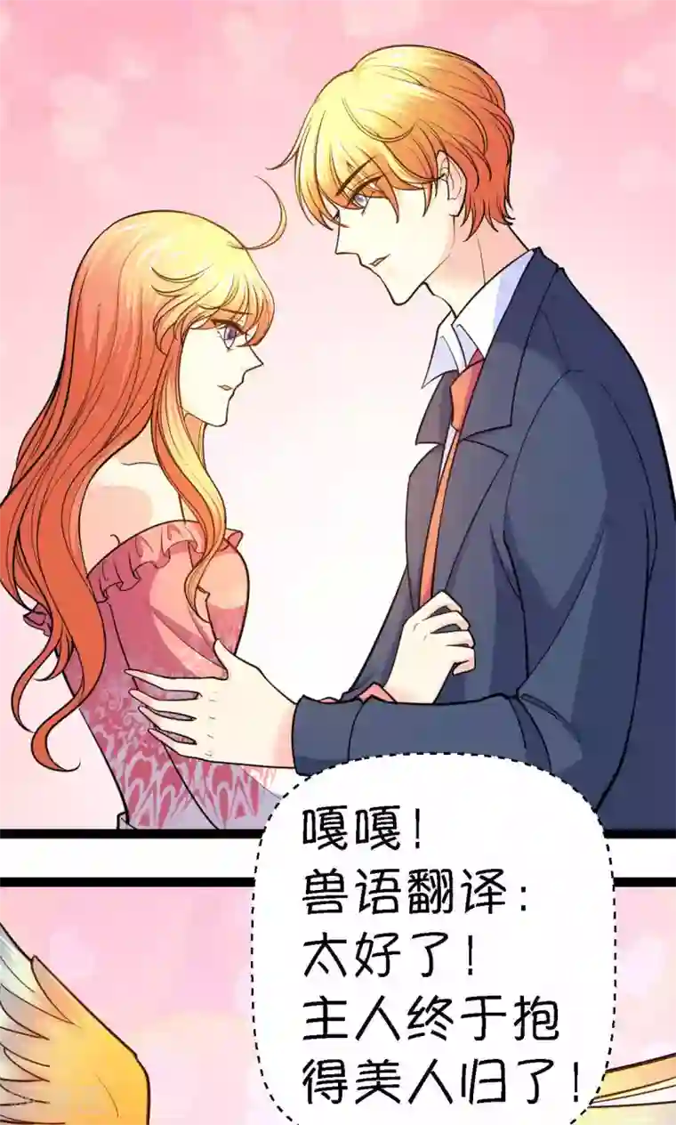 铲屎官也要谈恋爱第31话