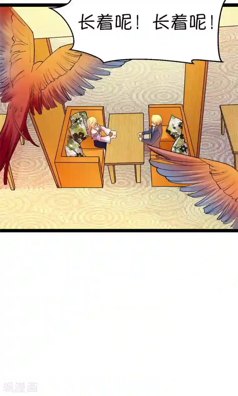 铲屎官也要谈恋爱第31话