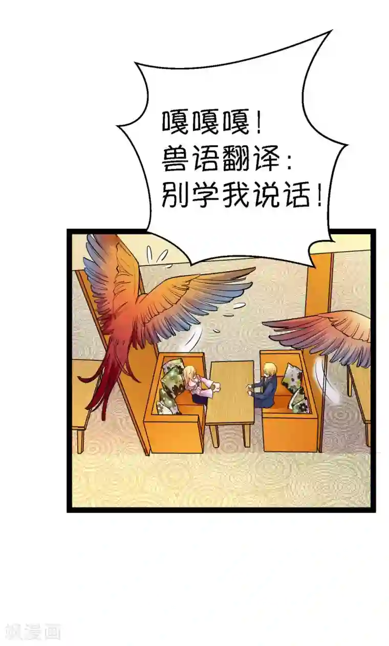 铲屎官也要谈恋爱第31话