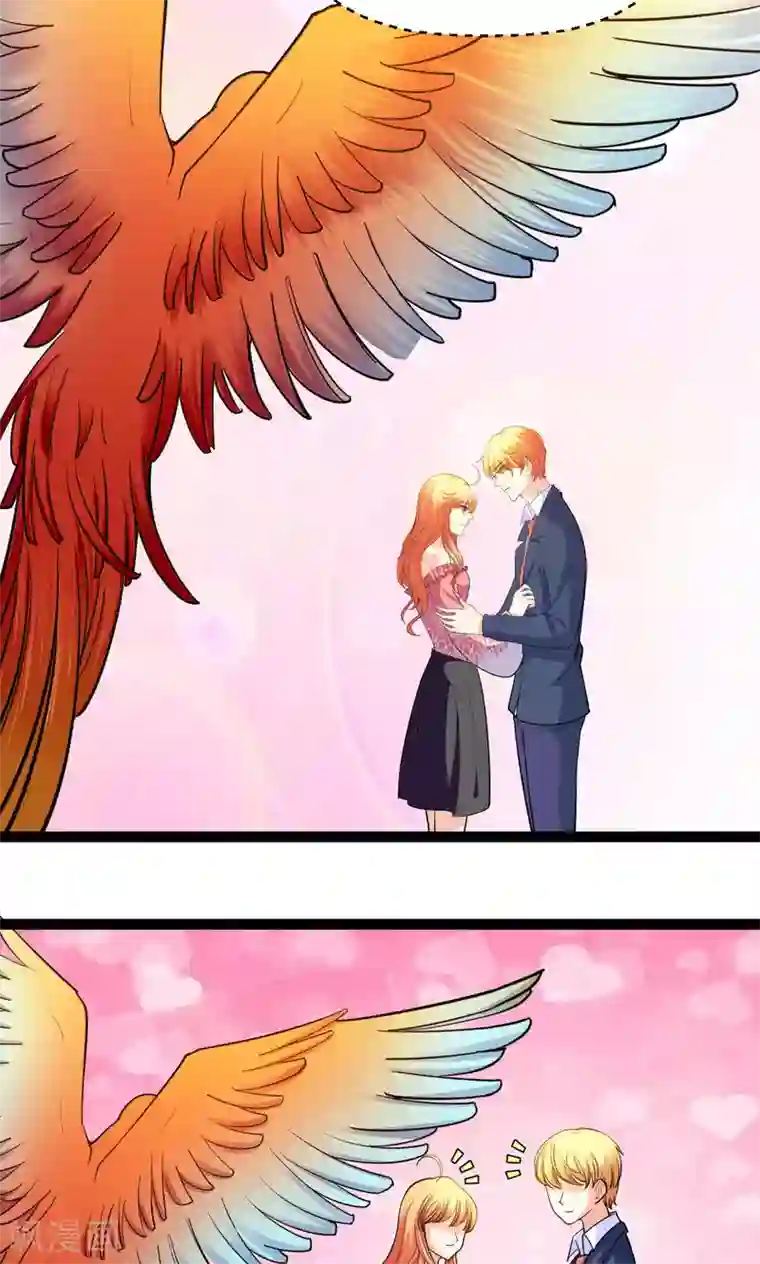 铲屎官也要谈恋爱第31话