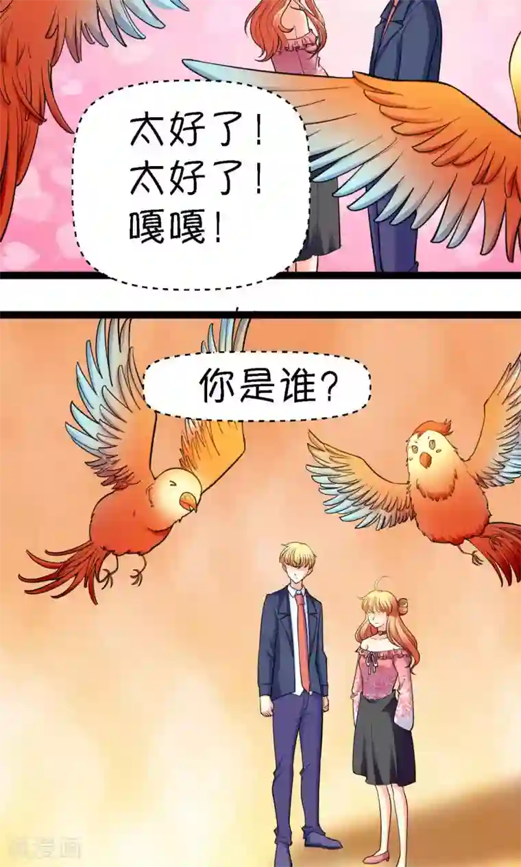 铲屎官也要谈恋爱第31话